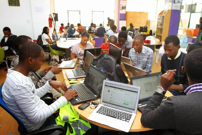 Livenest Digital Marketers team working on digital strategy